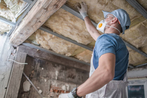 Best Energy Efficiency Insulation in Ridge Wood Heights, FL