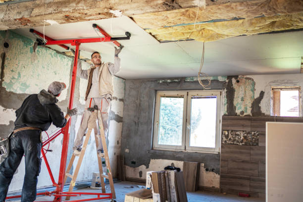 Best Eco-Friendly Insulation in Ridge Wood Heights, FL