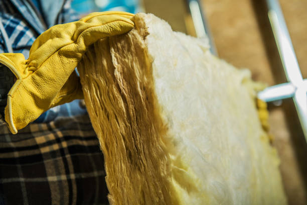 Best Blown-in Insulation in Ridge Wood Heights, FL