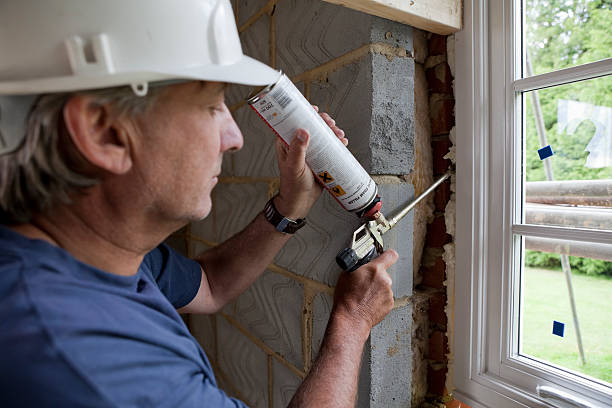 Best Eco-Friendly Insulation in Ridge Wood Heights, FL