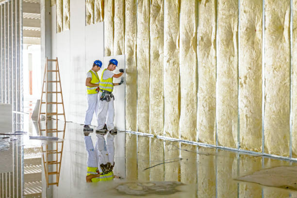 Best Geographic-Specific Insulation Services in Ridge Wood Heights, FL